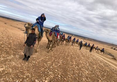 Agafay Desert Quad Biking & Camel Ride with Traditional Dinner & Show