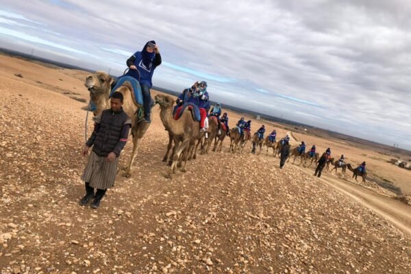 Agafay Desert Quad Biking & Camel Ride with Traditional Dinner & Show