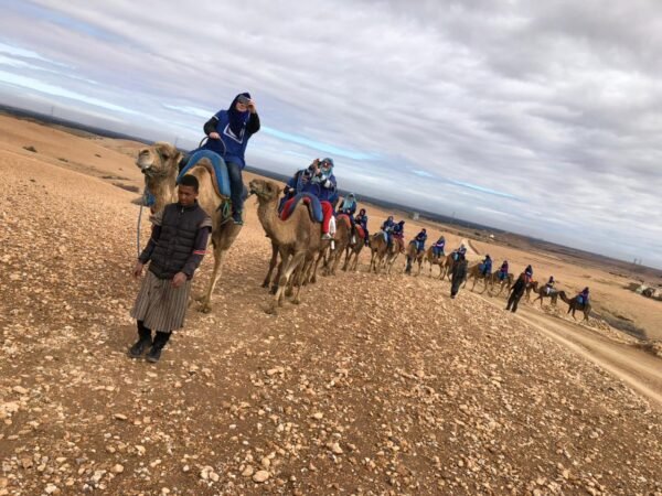 Agafay Desert Quad Biking & Camel Ride with Traditional Dinner & Show